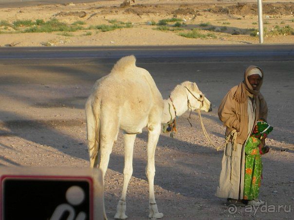 фото Golden Five Paradise Resort (закрыт)