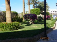 Новый отель.