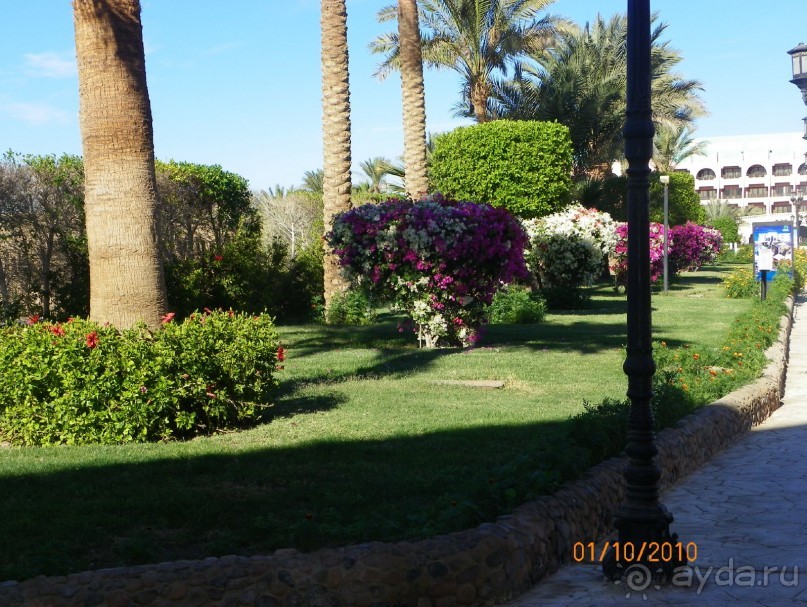 Новый отель.