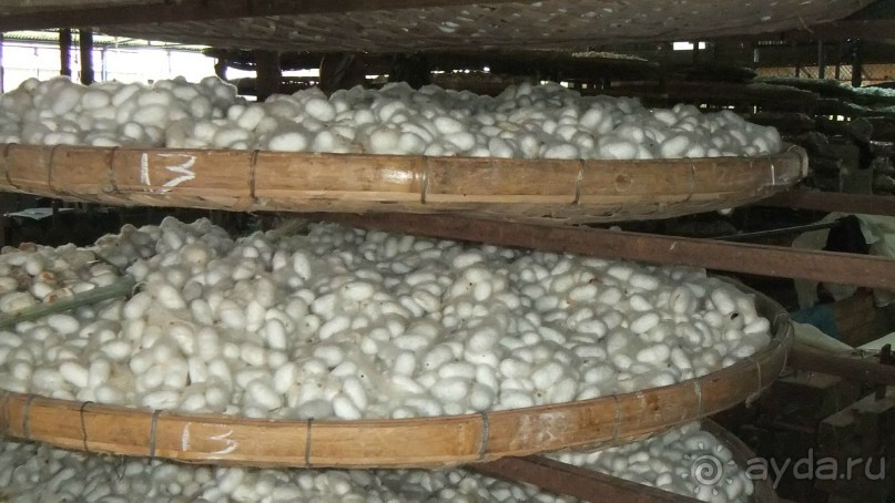 Красивый отель.