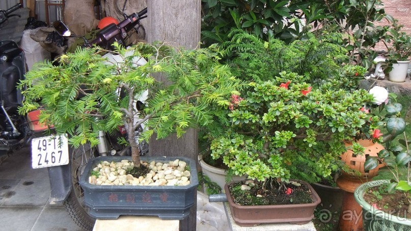 Красивый отель.