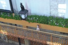 фото Вилла "Княжий град"