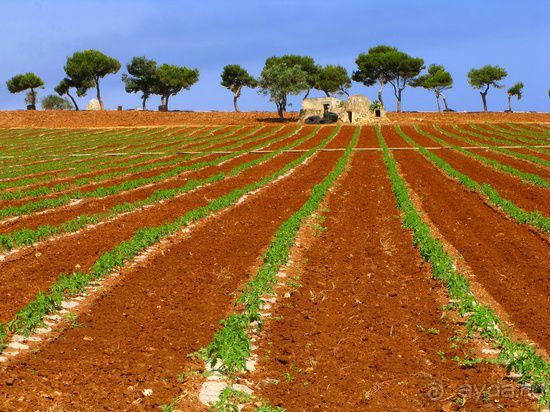 Неизвестый юг Италии - Апулия