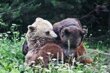 Отдых в Банско.