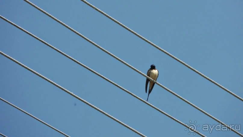 Отдых в Банско.