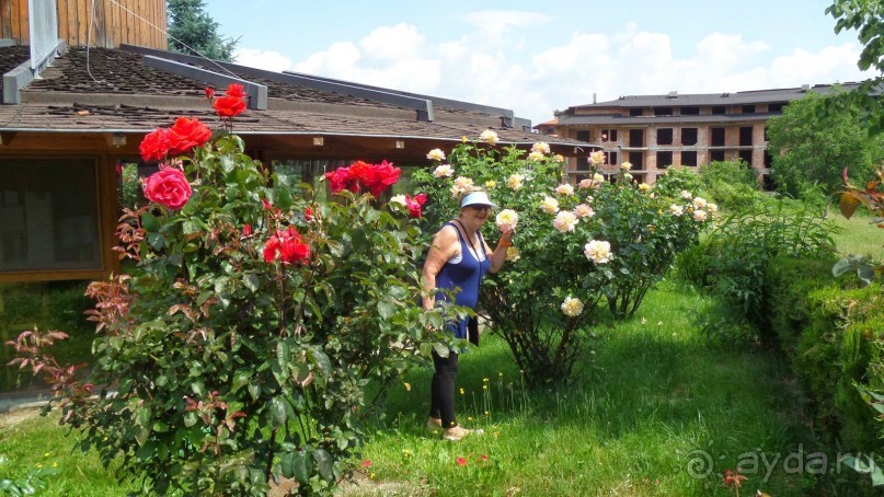 Отдых в Банско.