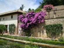 Южная Испания. Август 2013 г.