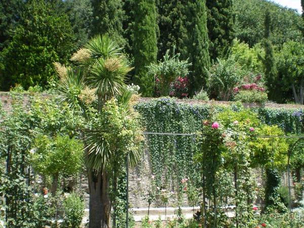 Южная Испания. Август 2013 г.