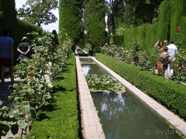 Южная Испания. Август 2013 г.