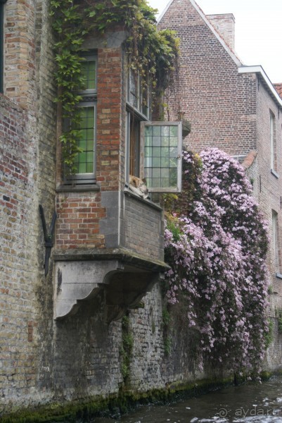 История одного путешествия. Бельгия и Голландия. Брюгге. ч.1