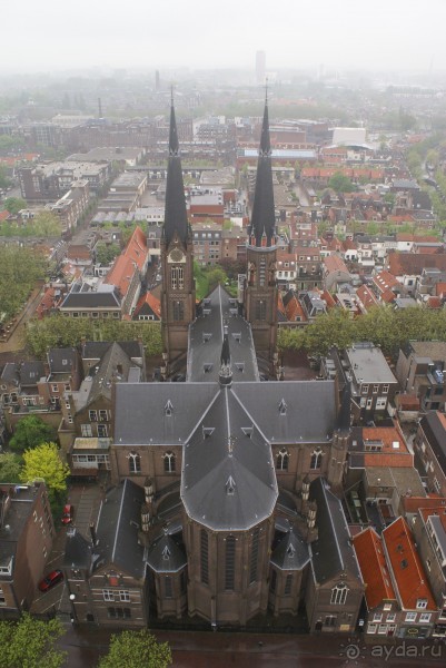 История одного путешествия. Бельгия и Голландия. Делфт и Гаага