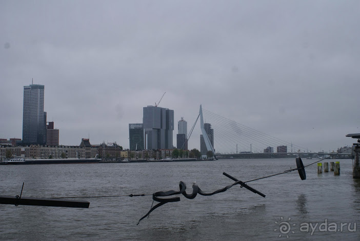 фото Роттердама