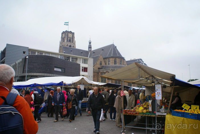 фото Роттердама