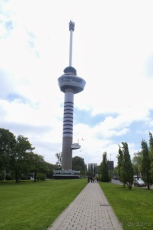 История одного путешествия. Бельгия и Голландия. Роттердам