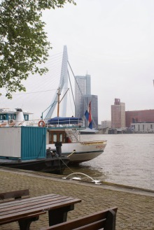 фото Роттердама