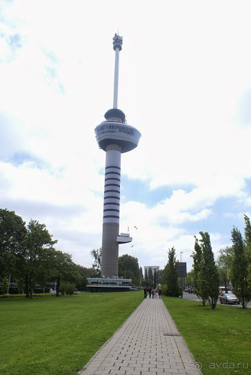 История одного путешествия. Бельгия и Голландия. Роттердам