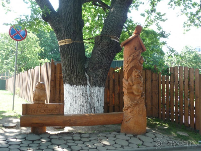 Какая у нас страна!