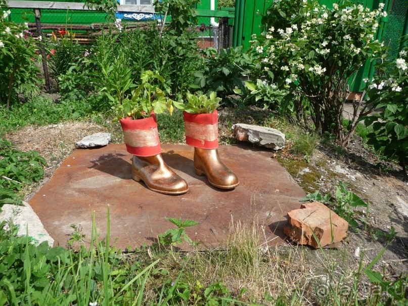 Какая у нас страна!