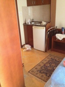 Испортили медовый месяц