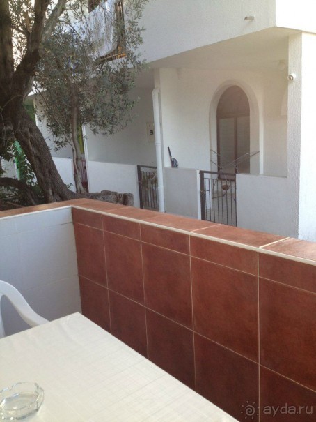 Испортили медовый месяц