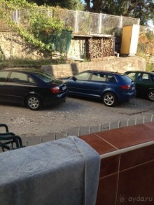 Испортили медовый месяц