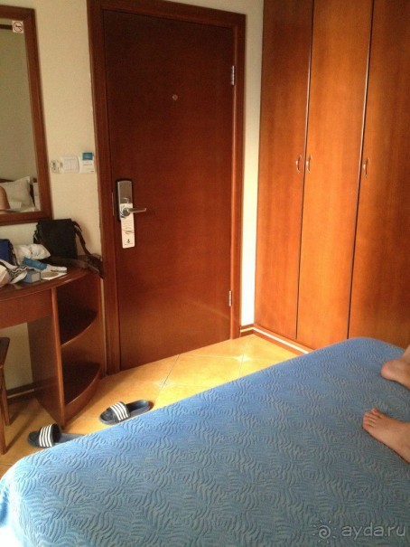 Испортили медовый месяц