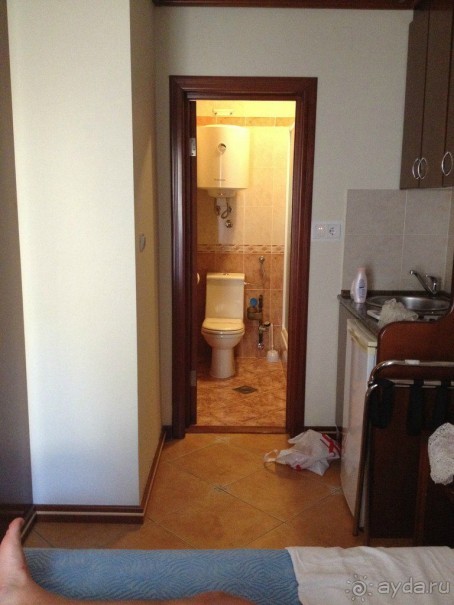 Испортили медовый месяц