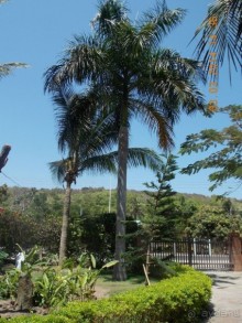 фото Golden Coast Resort & Spa