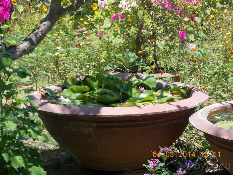 фото Golden Coast Resort & Spa