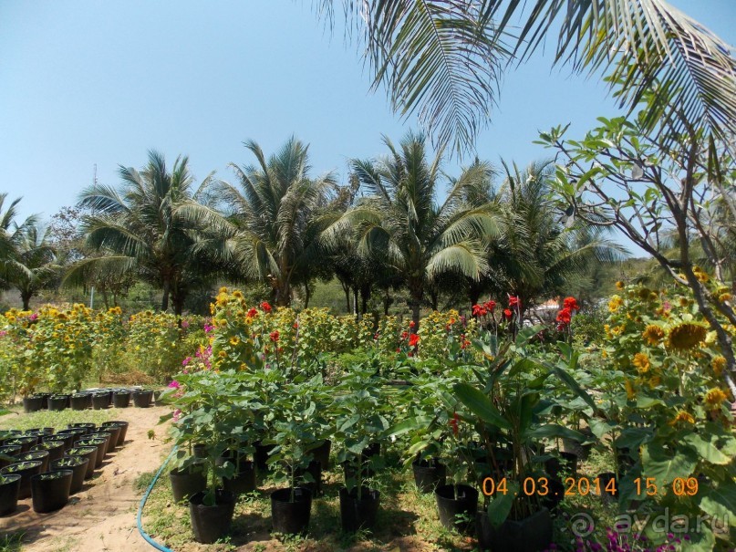 Тихий семейный отдых на троих