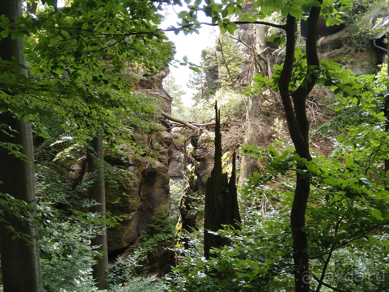 Дрезден, Германия. Саксонская Швейцария – курорт Бад-Шандоу.