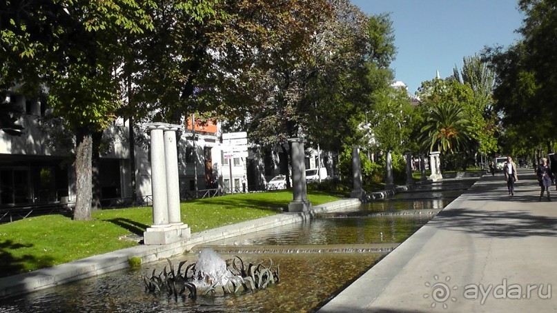 Мадрид. «Вы прекрасны, мой король!». День первый-I.