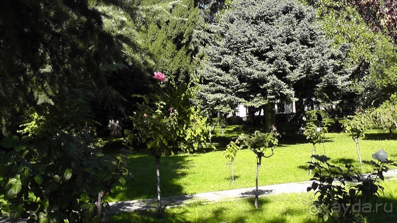 Мадрид. «Вы прекрасны, мой король!». День первый-I.