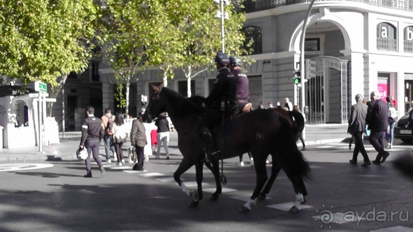 Мадрид. «Вы прекрасны, мой король!». День первый-I.