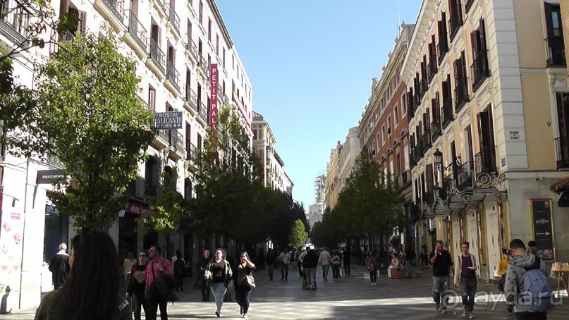 Мадрид. «Вы прекрасны, мой король!». День первый-I.