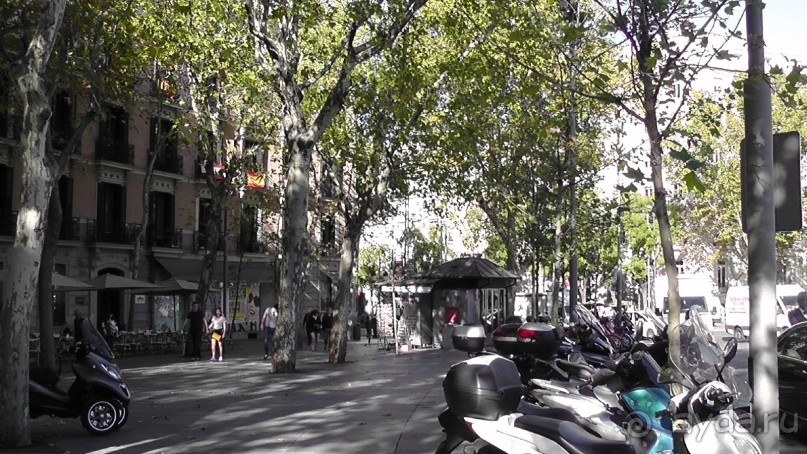 Мадрид. «Вы прекрасны, мой король!». День первый-I.