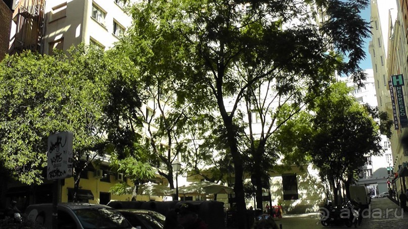 Мадрид. «Вы прекрасны, мой король!». День первый-I.