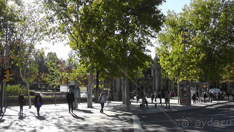 Мадрид. «Вы прекрасны, мой король!». День первый-I.