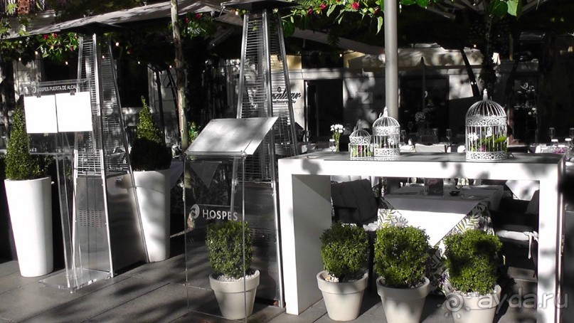 Мадрид. «Вы прекрасны, мой король!». День первый-I.