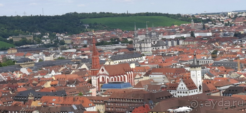 фото Мюнстера