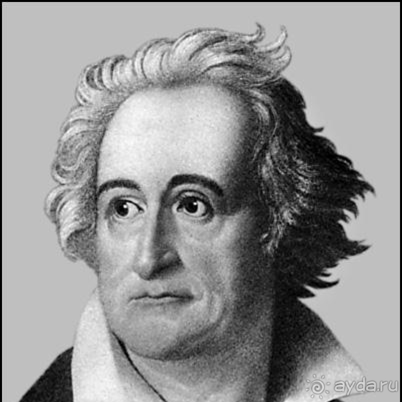 фото Armas Kaplan Paradise