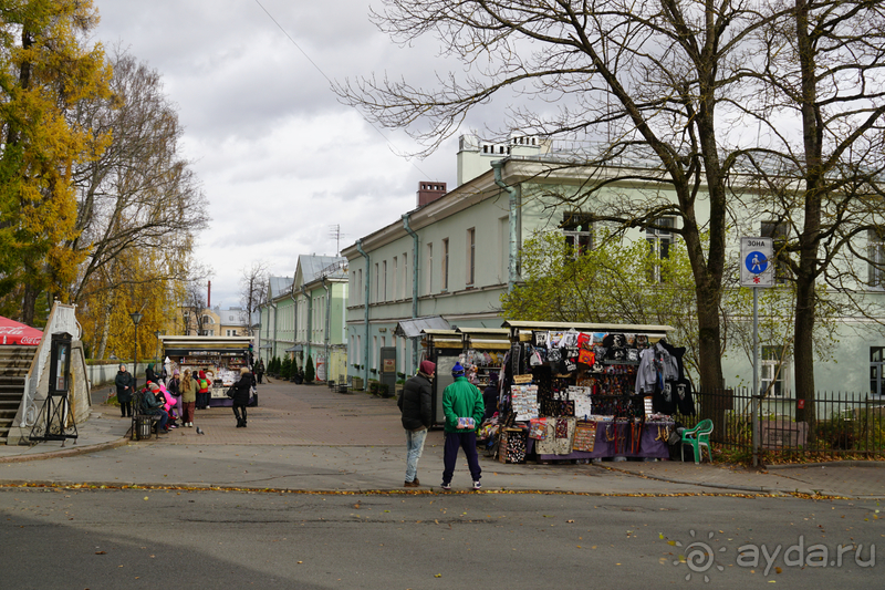  Санкт-Петербург, Россия. Город Пушкин.