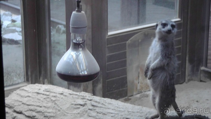 Это Венгрия! SPA Отель «Bambara».