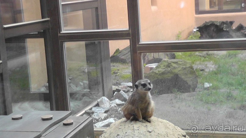 Альбом отзыва "Это Венгрия! SPA Отель «Bambara»."