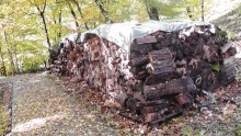 Это Венгрия! SPA Отель «Bambara».