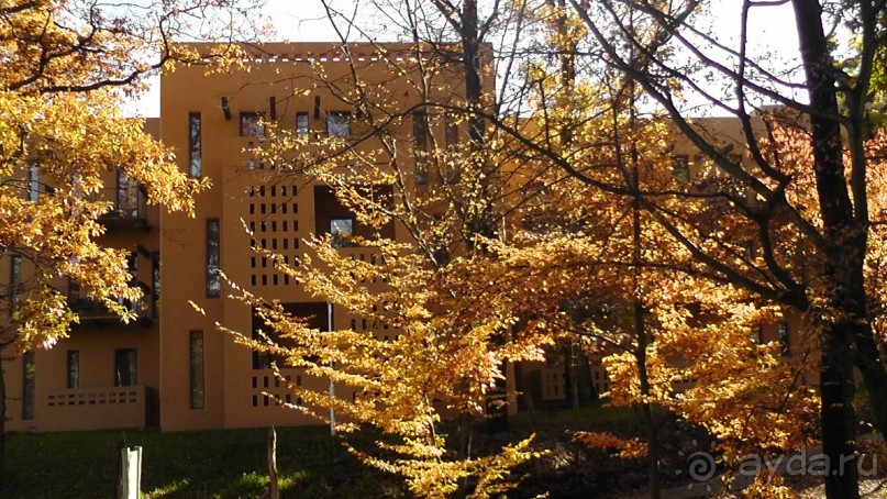 Это Венгрия! SPA Отель «Bambara».