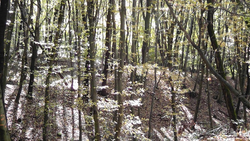 Это Венгрия! SPA Отель «Bambara».