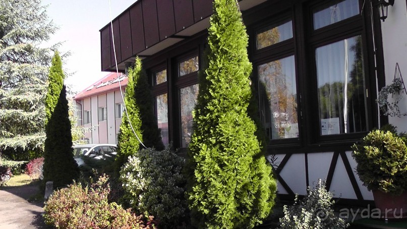 Это Венгрия! SPA Отель «Bambara».