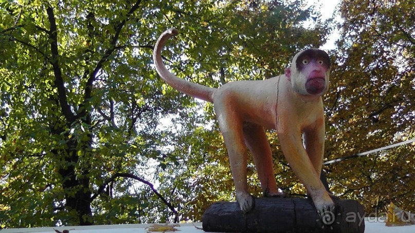 Это Венгрия! SPA Отель «Bambara».