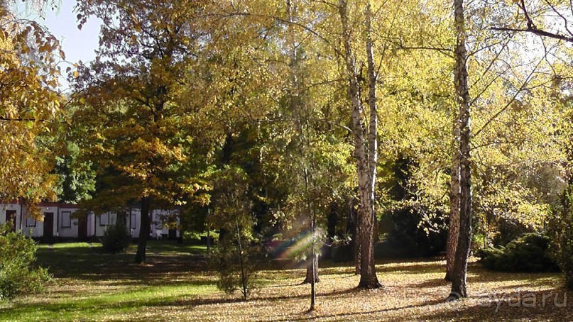 Это Венгрия! SPA Отель «Bambara».